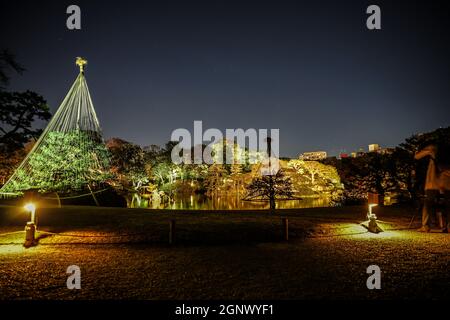 Giardino Daimyo di Rikugien (colori autunnali). Luogo di ripresa: Area metropolitana di Tokyo Foto Stock