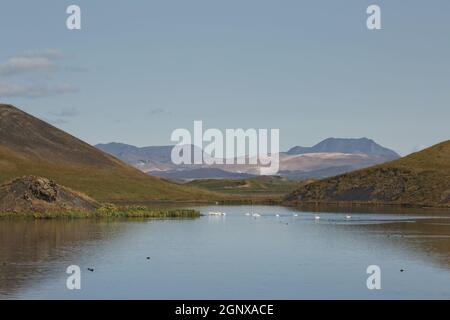 Bella e rara area di pseudo crateri, aka vulcani vicino Skutustadir e lago Myvatn in Islanda. Foto Stock