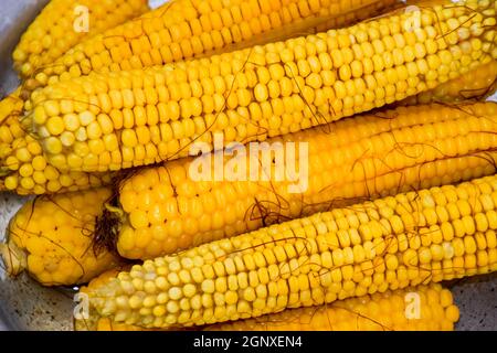 Mais bollito su un vassoio di alluminio Il mais vicino a. Vista dettagliata del mais. Giallo giovani sode mais, utile e il cibo gustoso Foto Stock