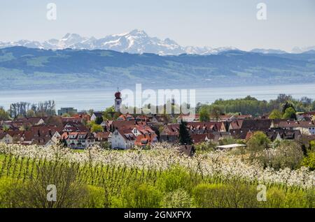 Vista di Kressbronn, Lago di Costanza e Saentis in clima di foehn, Baden-Wuerttemberg, Germania Foto Stock