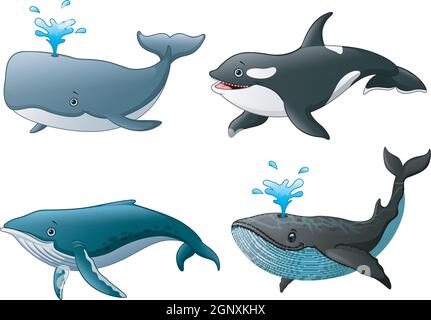 Set di pesci marini Illustrazione Vettoriale