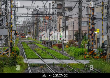 Linea Toden Arakawa della linea e del veicolo. Luogo di tiro: Yokohama-città prefettura di kanagawa Foto Stock