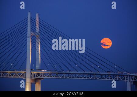 Harvest moon e il ponte di Yokohama Bay del Mid-Autumn Festival. Luogo di tiro: Yokohama-città prefettura di kanagawa Foto Stock