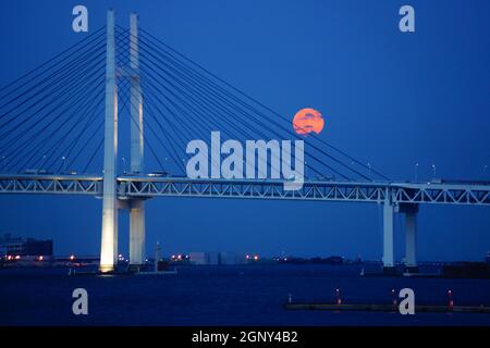 Harvest moon e il ponte di Yokohama Bay del Mid-Autumn Festival. Luogo di tiro: Yokohama-città prefettura di kanagawa Foto Stock