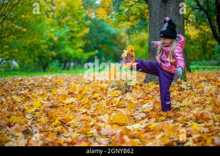 Una ragazza getta un sacco di foglie di acero giallo Foto Stock