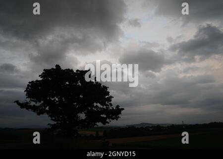 Sette Stelle di alberi e cielo nuvoloso (Hokkaido Biei-cho). Luogo di ripresa: Hokkaido Biei-cho Foto Stock