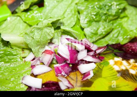 Insalata fresca di lattuga romana e cipolla porpora tagliata a dadini Foto Stock