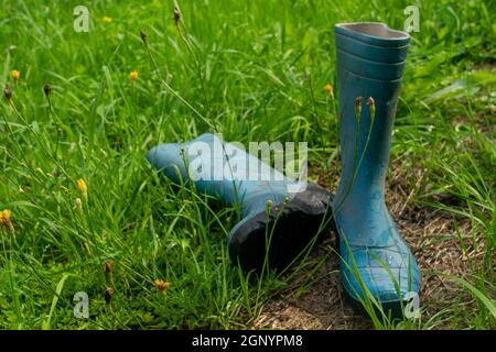 Un paio di stivali in gomma blu nel verde erba Foto Stock