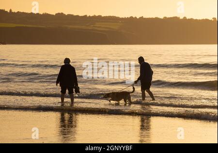 Coppia di mezza età che camminano il loro cane sulla riva a Newport Beach, Pembrokeshire in prima serata. Foto Stock