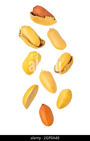 Dadi isolati. Nove arachidi volanti con guscio bianco con percorso di ritaglio come elemento di design del contenitore. Profondità di campo completa. Concetto di levitazione del cibo. Foto Stock