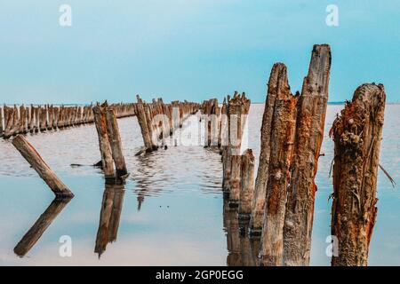 Tronchi di legno in acqua di mare. Tronchi di legno in acqua di mare. Foto Stock