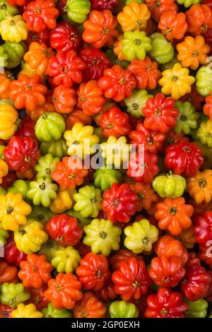 ciliegie di surinam o frutta di pitanga anche conosciuta come ciliegia brasiliana o ciliegia di cayenne o ciliegie della florida, frutta lucida e attraente, top down full fr Foto Stock