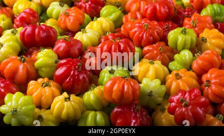 ciliegie surinam o frutta pitanga anche noto come ciliegia brasiliana o ciliegia cayenne o ciliegie florida, frutta lucida e attraente, closeup side vie Foto Stock