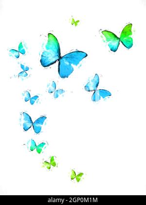 farfalle colorate in volo multicolore su sfondo bianco Foto Stock