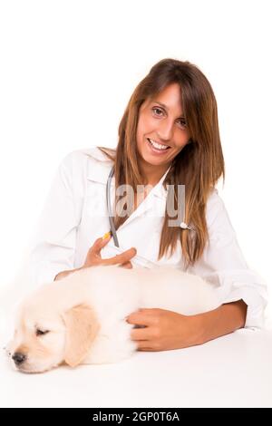 Un bel veterinario con un golden retriever cucciolo Foto Stock