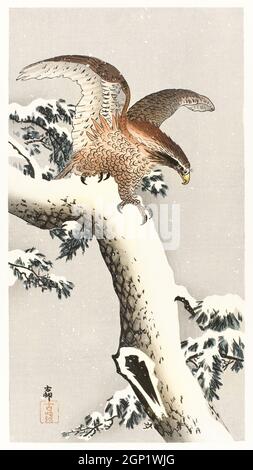 Aquila su un ramo d'albero (1887 - 1930) di Ohara Koson (1877-1945). Foto Stock