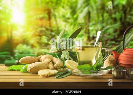 Tazza di tè verde con menta limone e zenzero su tavola di legno con piante, teiera e canne di bambù nella foresta Vista frontale. Foto Stock