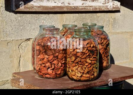 Frutta secca in tre-litro barattolo. Essiccato di mele tagliate a fette. Foto Stock