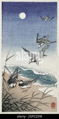 Uccelli in luna piena (1900 - 1936) di Ohara Koson (1877-1945). Foto Stock
