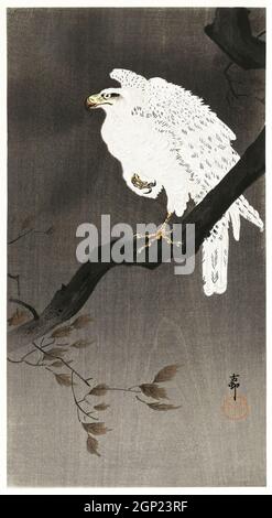 Aquila nevosa su un ramo d'albero (1910 - 1930) di Ohara Koson (1877-1945). Foto Stock