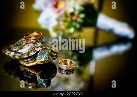 Accanto alla tartaruga si trovano due anelli per matrimoni. Foto Stock