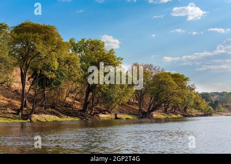 Tramonto del paesaggio del fiume Chobe in Botswana, la vista dall'imbarcazione. Africa deserto Foto Stock