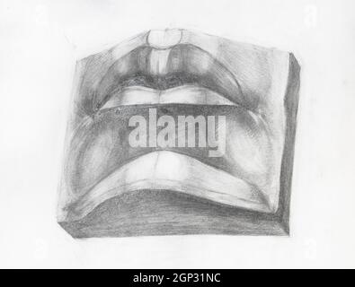 Dettaglio del naso disegno a matita su carta bianca Foto stock - Alamy