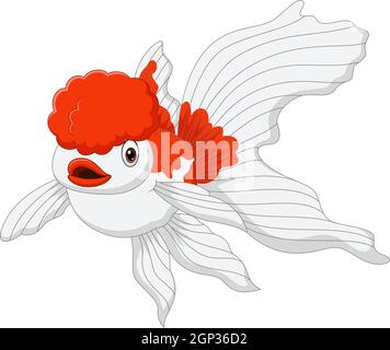 Cartoon oranda oranda pesce d'oro su sfondo bianco Illustrazione Vettoriale