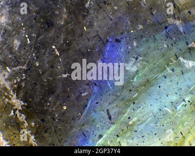 Labradorite con schiller in una macro Foto Stock