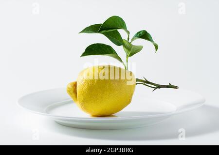limoni freschi maturi con foglie su un piatto. concetto di cottura Foto Stock
