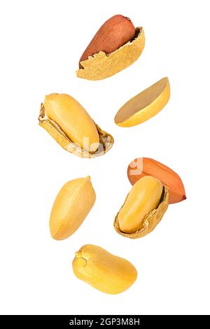 Dadi isolati. Nove arachidi volanti con guscio bianco con percorso di ritaglio come elemento di design del contenitore. Profondità di campo completa. Concetto di levitazione del cibo. Foto Stock