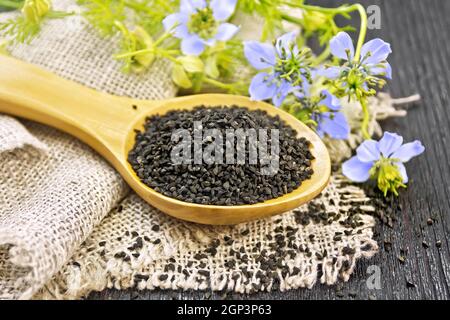 Semi di cumino nero in un cucchiaio di insaccatura, il kalingi si torce con fiori blu e foglie verdi su uno sfondo di legno scuro Foto Stock