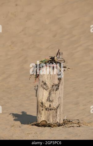 Una sutura di testa e faccia fatta di oggetti trovati sulla spiaggia raffigurata su uno sfondo di sabbia. Foto Stock