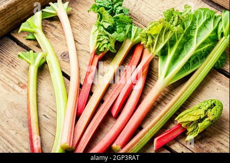 Rhubarb fresco stelo su retro tavola di legno. Pacchetto di steli e pezzi rabarbaro Foto Stock