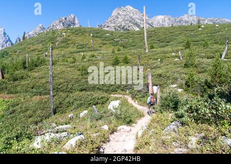 Wyoming, USA - 9 agosto 2021: Escursionista maschile cammina lungo il sentiero intorno al lago Jenny nel Parco Nazionale di Grand Teton in una giornata soleggiata e limpida Foto Stock