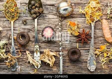 Foglie di tè verde essiccate ed erbe healing in teaspoon.Herbal medicine.Homeopathy Foto Stock
