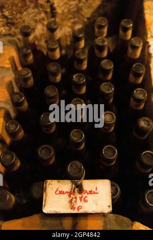 Le bottiglie di vino nella cantina di archivio, Ezerjo, Ungheria Foto Stock