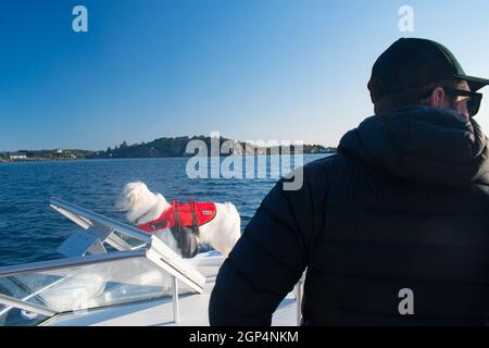 Cane Husky bianco su motoscafo che indossa Orange LifeJacket con acqua sullo sfondo Foto Stock