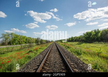 Ferrovia che si estende in lontananza sullo sfondo del cielo blu e delle nuvole bianche. Prospettiva ferroviaria. Erba verde e papaveri rossi lungo la ferrovia. Co Foto Stock