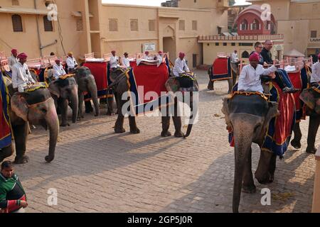Elefanti decorati che trasportano i turisti al Forte di Amber a Jaipur, Rajasthan, India Foto Stock