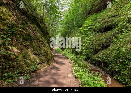 Sentiero escursionistico e ruscello nel Drachenschlucht, Gola del Drago vicino a Eisenach, Turingia Foto Stock