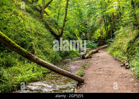 Sentiero escursionistico e ruscello nel Drachenschlucht, Gola del Drago vicino a Eisenach, Turingia Foto Stock