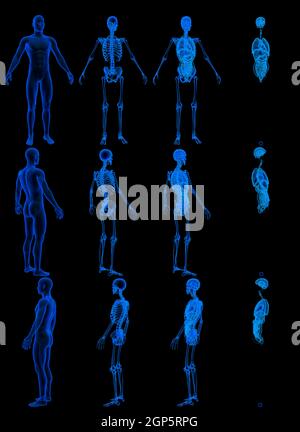 12 rendering a raggi x del corpo maschile con scheletro e interno organi - concetto anatomico per la medicina - cg alta risoluzione Isolamento dell'illustrazione 3D medica Foto Stock