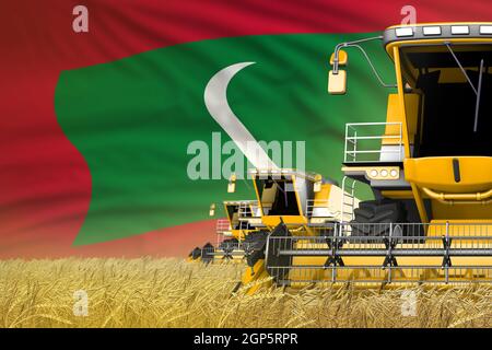3 mietitrebbie moderne gialle con bandiera Maldive su campo di grano - vista ravvicinata, concetto di agricoltura - illustrazione 3D industriale Foto Stock