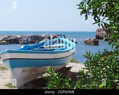 Vista di una barca bianca e blu parcheggiata vicino agli alberi sulla costa in una giornata di sole Foto Stock