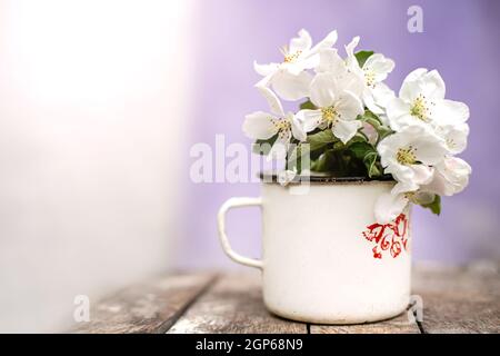 Vita morta con tazza e bouquet di rami con fiori di mela. Petali bianchi di alberi fioriti caduti su cemento. Foto Stock