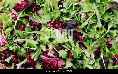 Foglie di insalata verde e viola mescolano lo sfondo. Foto di alta qualità Foto Stock