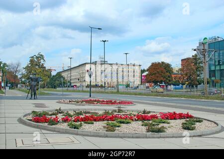 Design paesaggistico nella città moderna. Fiori in città decorazione di strada. Bellissimi letti di fiori in città. Natura urbana a Lodz. Decorazione floreale sulla città str Foto Stock