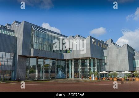 Museo Ludwig, Heinrich-Boell-Platz, Colonia, Renania Settentrionale-Vestfalia, Germania Foto Stock