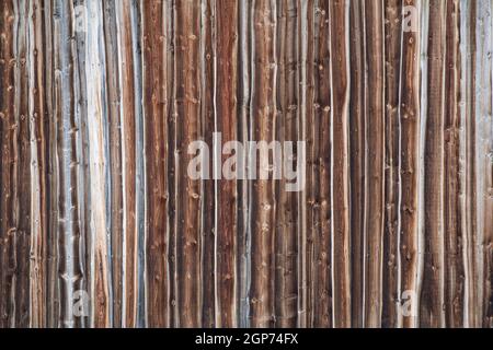 Struttura in legno di pino marrone Foto Stock
